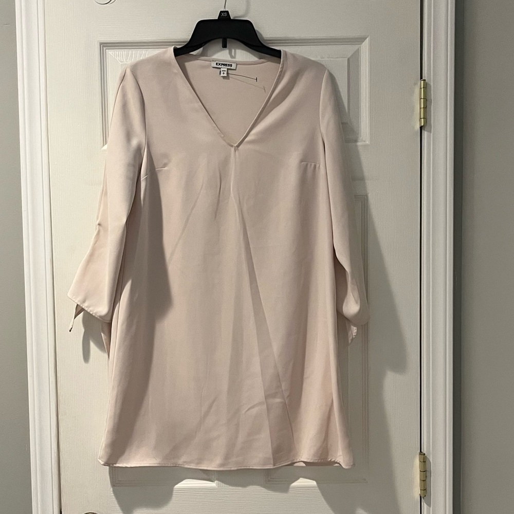 Express Blush Long Sleeve V-Neck Dress